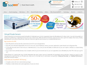 Screenshot of Customized Server Hosting is Our Specialty.