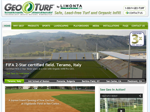 Screenshot of Fifa Turf  