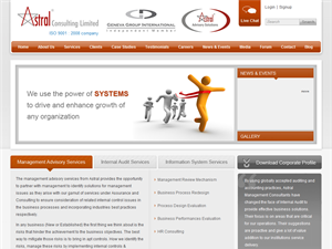 Screenshot of Internal Audit India