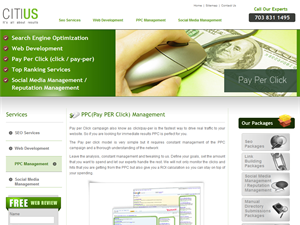 Screenshot of Pay Per Click - Mumbai India