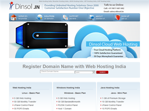 Screenshot of Web Hosting Delhi