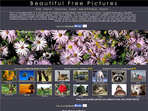 Screenshot of Beautiful Free  Pictures