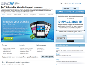 Screenshot of Support, Updates, Maintenance of Websites