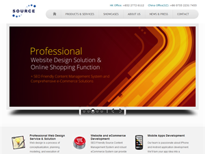 Screenshot of Professional Web Site Design