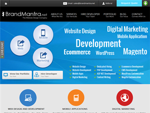 Screenshot of Professional Website Design