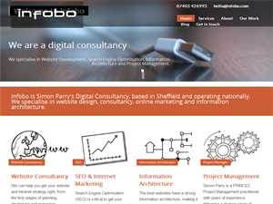 Screenshot of Infobo Website Design