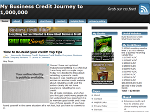 Screenshot of Business credit