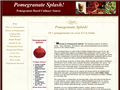 Screenshot of Pomegranate Reduction Sauces