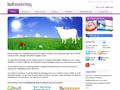 Screenshot of Bull Marketing web design and devlopment - Reading