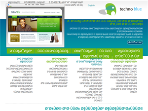 Screenshot of Website Development