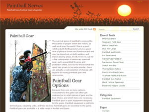 Screenshot of PaintBallNerves