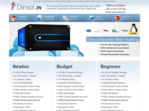 Screenshot of ASP .NET PHP JSP Web Hosting India