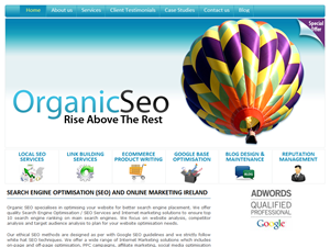 Screenshot of Online Marketing Ireland