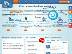 Screenshot of SEO Services India