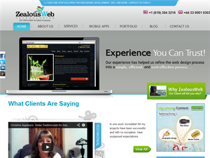 Screenshot of Website Designing India