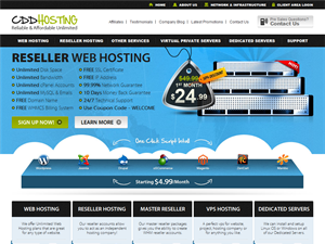 Screenshot of Professional Web Hosting